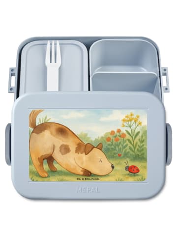 Mr. & Mrs. Panda Lunchbox Hund Marienkäfer Design ohne Spruch in Blau Pastell