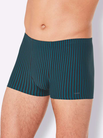 Comte Pants in petrol-gestreift