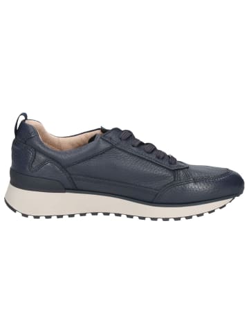 Caprice Sneaker in OCEAN DEER