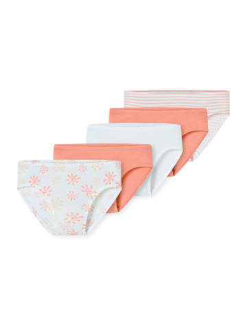 Schiesser Slip 95/5 in apricot