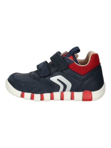 Geox Sneaker in Navy/Rot