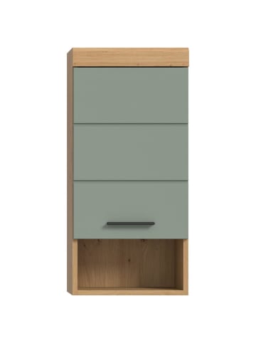 ebuy24 Staubgrün 37 x 24 cm