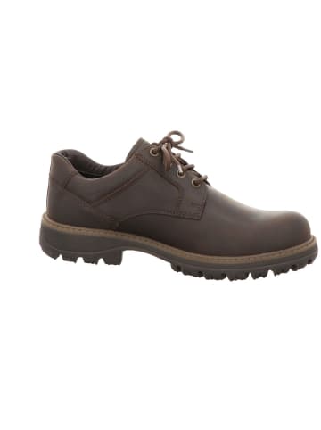 Gabor Schnürschuh in mocca