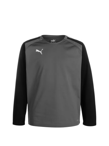 Puma Trainingstop TeamLIGA in grau / schwarz