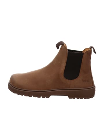 KOEL Chelsea Boots in Braun