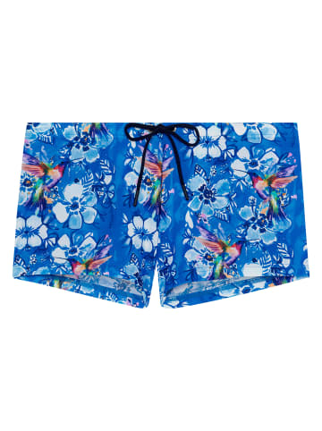 HOM Badehose Swim Shorts Colibris in blue print