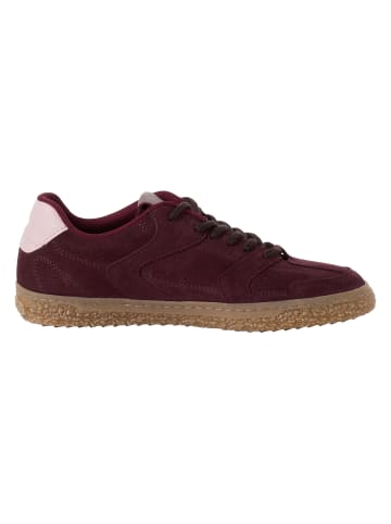 Tamaris Sneaker in BORDEAUX COMB