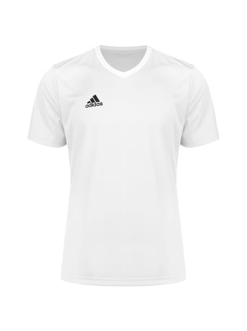 adidas Performance Trikot Entrada 22 in weiß