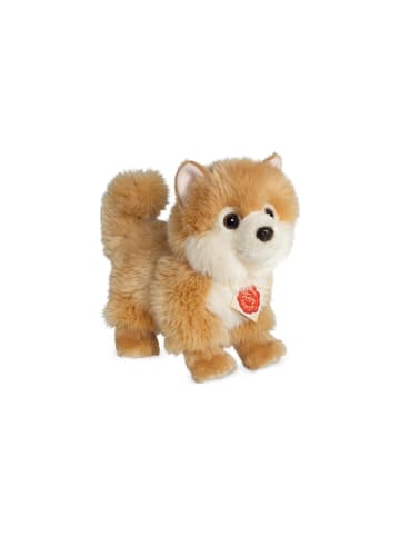 Teddy Hermann Kuscheltier Hund Zwergspitz, 22 cm, ab 18 Monate