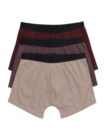 JP1880 Pants in schokolade