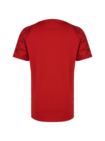 uhlsport  T-Shirt 1. FC Köln Goal 24 in rot