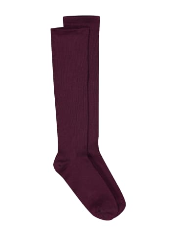 Ulla Popken Strümpfe in aubergine