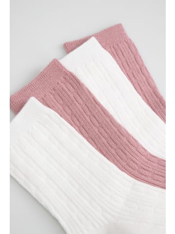 Coccodrillo Socken in bunt