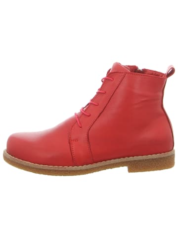 Andrea Conti Schnürstiefelette in rot