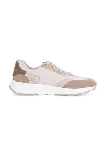 Gabor Sneaker low in beige