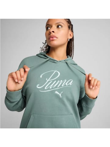 Puma Script Comfort Hoodie Pullover in Grün