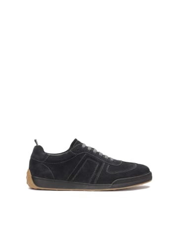 Kazar Schnürschuhe in Dunkelblau