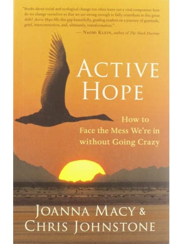 Sonstige Verlage Sachbuch - Active Hope: How to Face the Mess We're in without Going Crazy