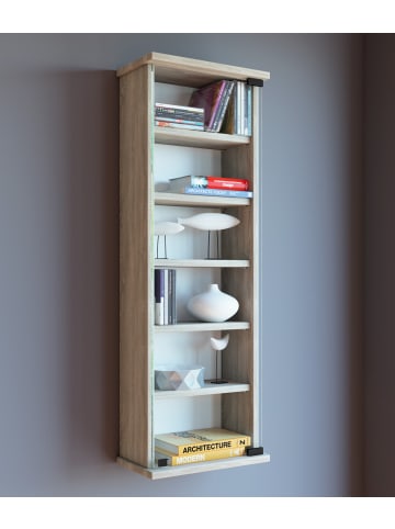 VCM  Holz CD DVD Wandregal Schrank Loposa Glastür in Buche
