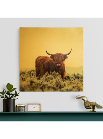 WALLART Leinwandbild Gold - Bison in den Highlands in Weiß