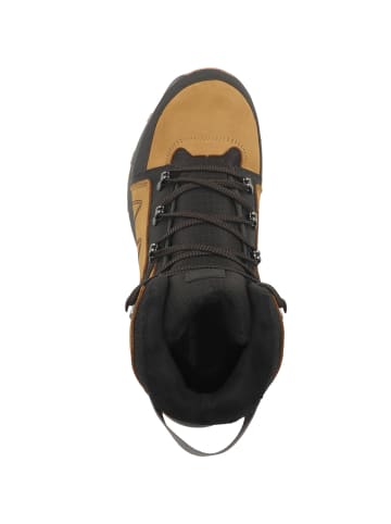 SALOMON Outdoorschuhe Outchill TS WPX in braun