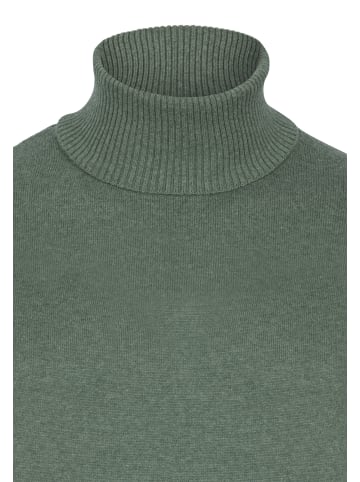Felix Hardy Pullover in Grün-Braun
