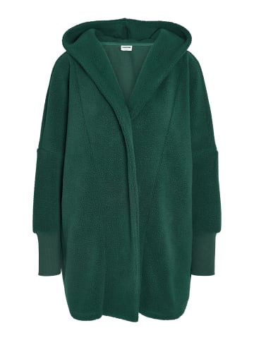 Noisy may Coatigan in Ponderosa Pine