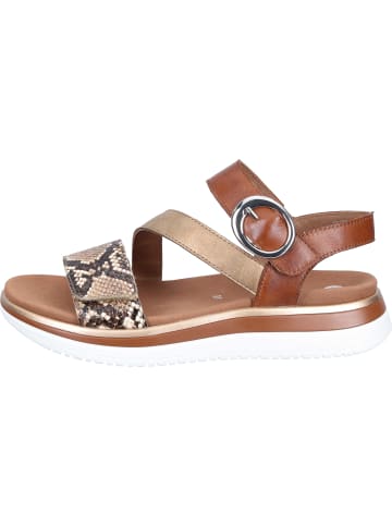 remonte Klassische Sandaletten in brown/antique/muskat