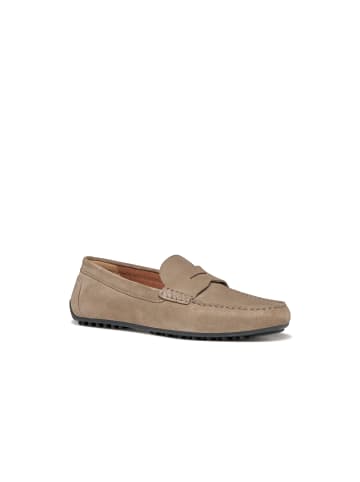 Geox Slipper in grau