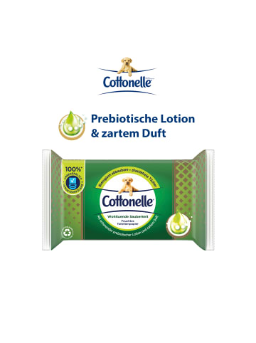 Cottonelle Feuchtes Toilettenpapier Wohltuende Sauberkeit 12 x 38 Tücher