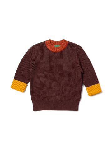 Little Green Radicals Bio-Strickpullover in Braun