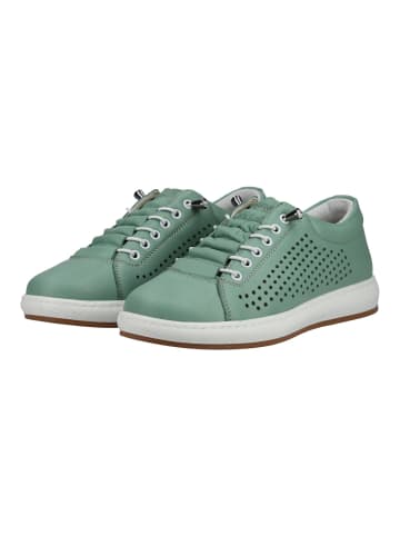 Andrea Conti Sneaker in Mint