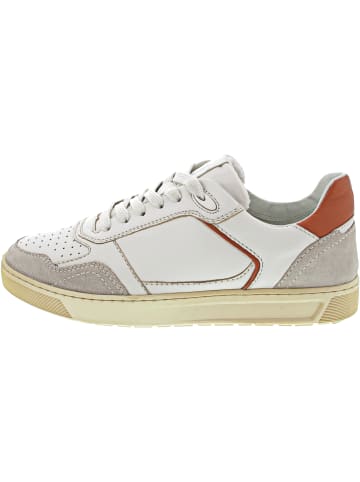 Sioux Tils Sneaker Sneaker Beige