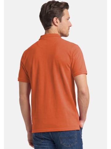 Redmond Poloshirt Basic in Terra