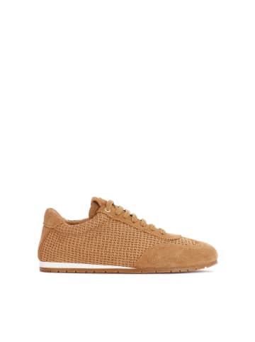 Kazar Sneaker Low in Hellbraun