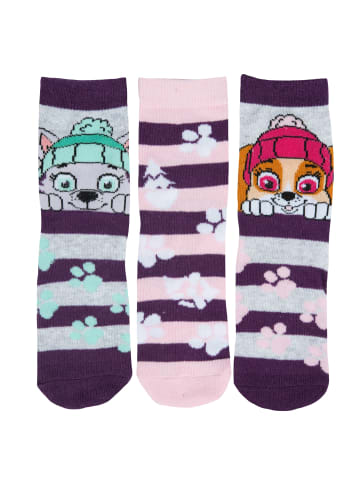 United Labels 3er Pack Paw Patrol  Sneakersocken in Mehrfarbig