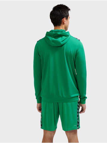 Hummel Reißverschluss Jacke Hmlauthentic Multisport Herren in JELLY BEAN