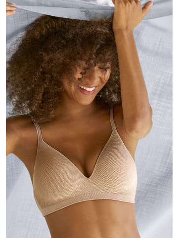 LASCANA Push-up-BH in toffee