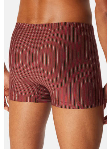 Schiesser Retro Short / Pant 95/5 Essentials in Schwarz / rot