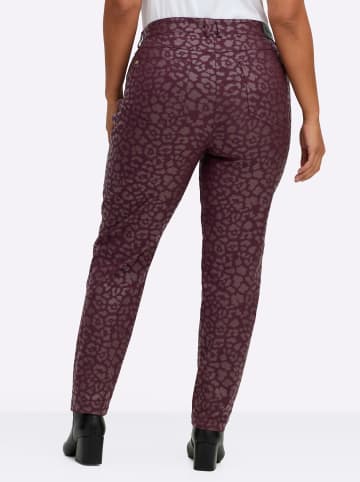 sheego Hose in burgund-bedruckt
