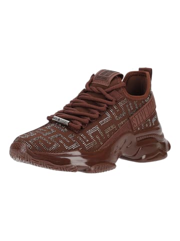 Steve Madden Sneaker MAXOUT in Dunkelbraun