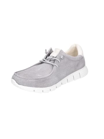 Sioux Sneaker Low in grau