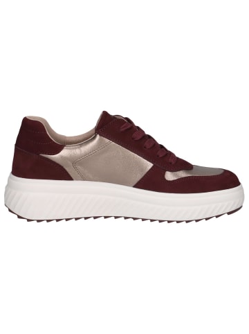 Caprice Sneaker in BORDEAUX/ROSE