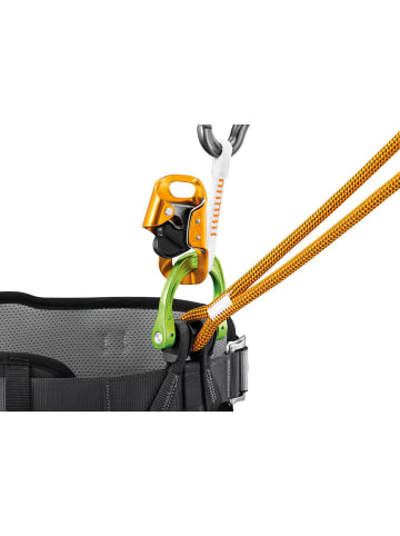 PETZL CANYON GUIDE in Schwarz