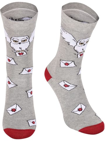Harry Potter Socke "Hogwarts Letter Socks" in Grau