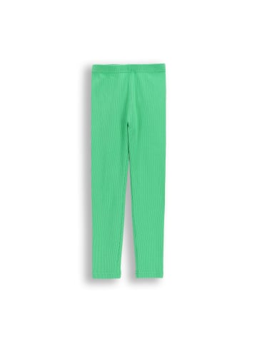 Coccodrillo Gerippte Leggings mit langem Bein in grün