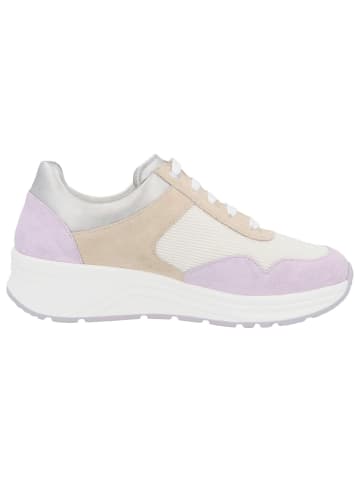 Solidus Freizeit Schnürer für Damen in beige