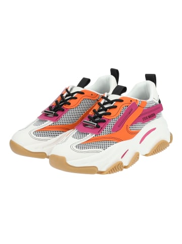 Steve Madden Sneaker in Orange Multi