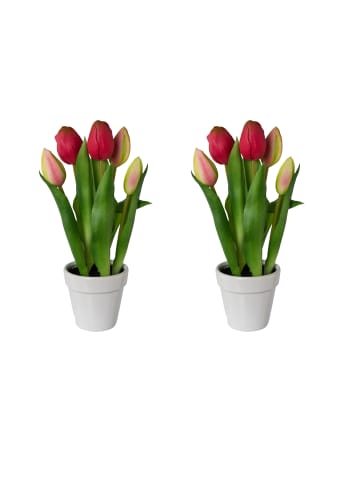 Creativ green 2er Set: Deko-Tulpen im Keramiktopf in pink