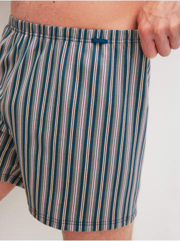 Calida Boxershorts in lilas